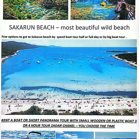 Casa de hóspedes The Dreams 3*