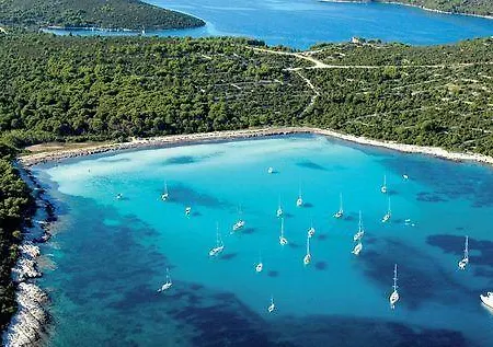 Casa de hóspedes The Dreams