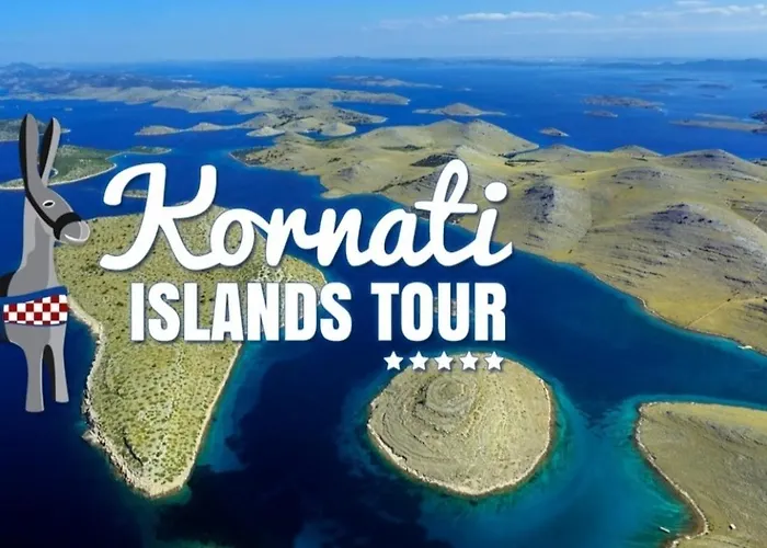 The Dreams 자다르