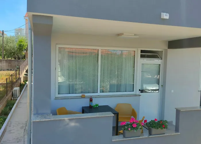 The Dreams 자다르